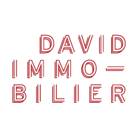 David Immobilier